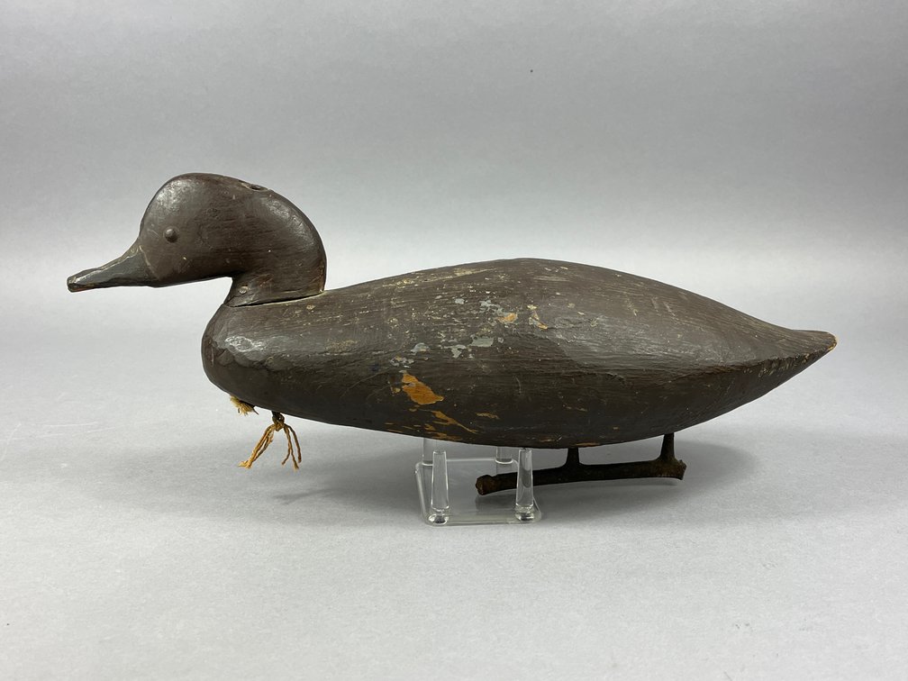 Black Duck by Don Ewell 