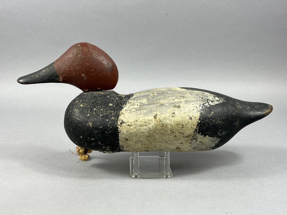 Factory Canvasback 