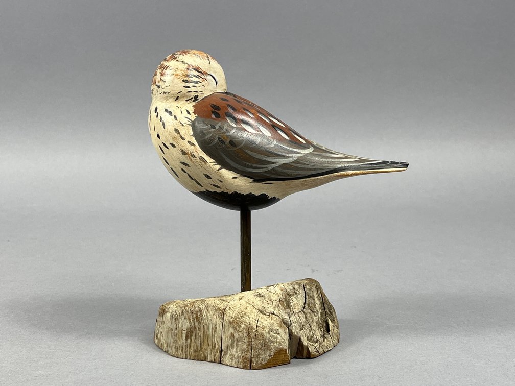 Dunlin by Bob Guge 