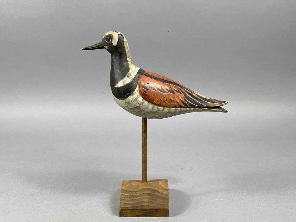Ruddy Turnstone by David Rhodes 