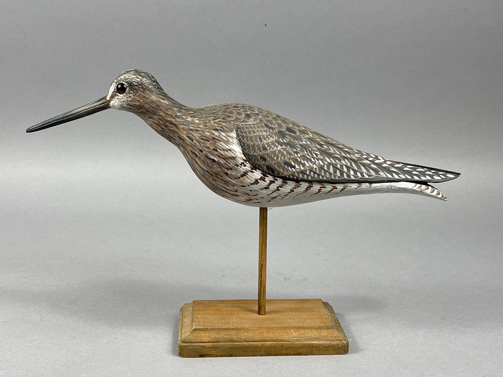Yellowlegs by David Rhodes 