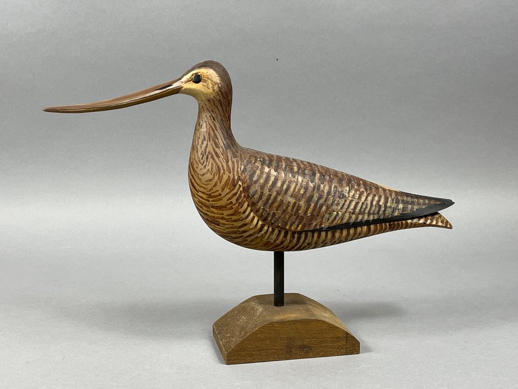 Godwit by David Rhodes 