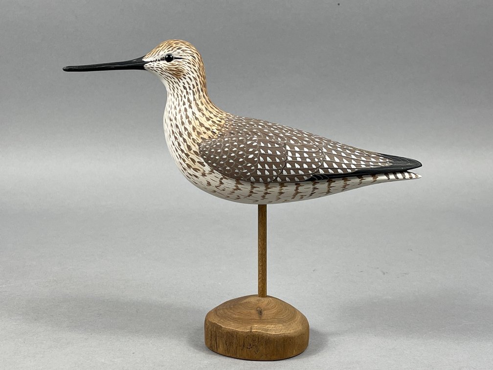 Yellowlegs by Manfred Scheel 