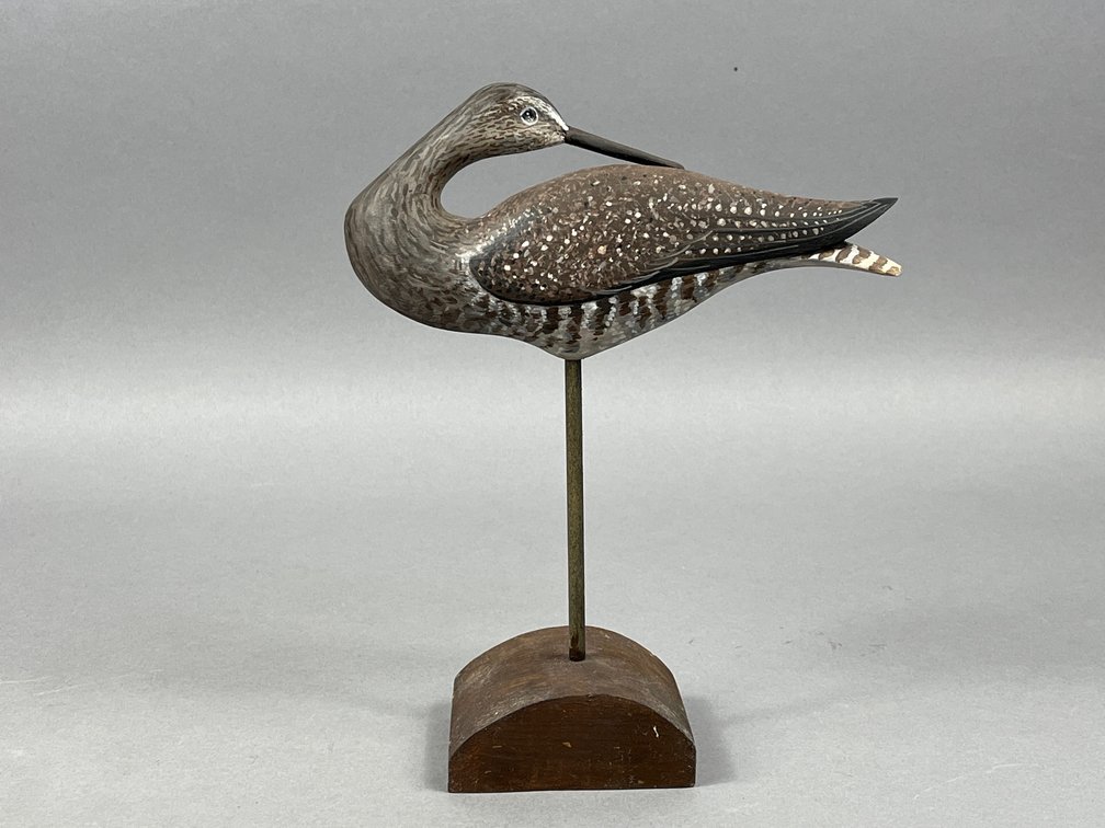 Yellowlegs by David Rhodes 
