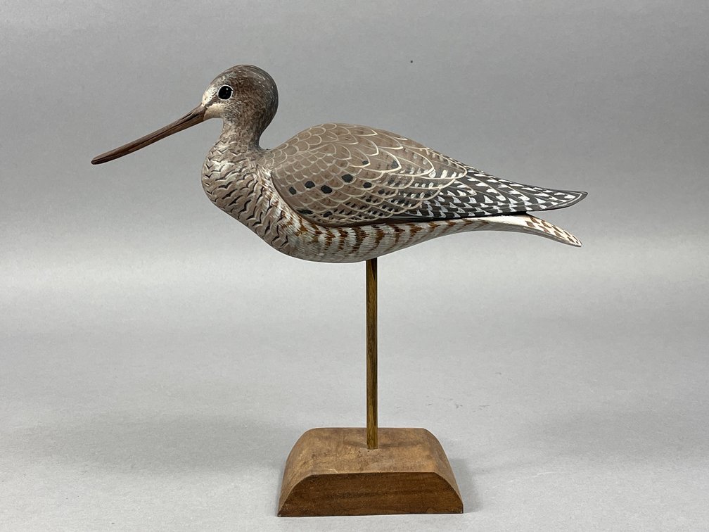 Godwit by David Rhodes 