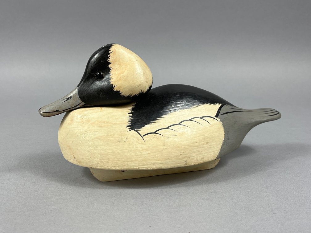 Bufflehead by William Veasey 