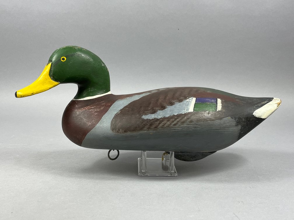 Mallard by Jobes Family 