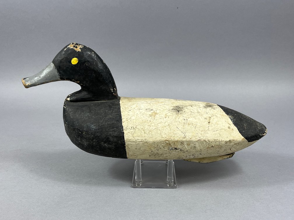 Bluebill by Clearance Creighton 