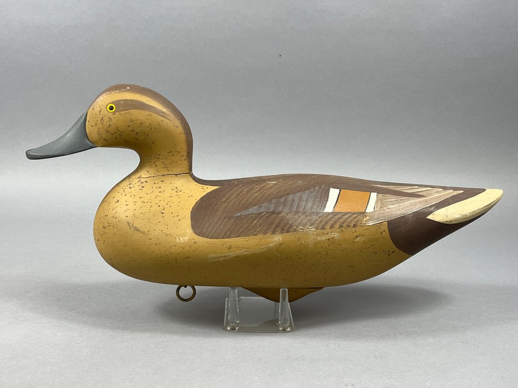Pintail Hen by Bill Collins 