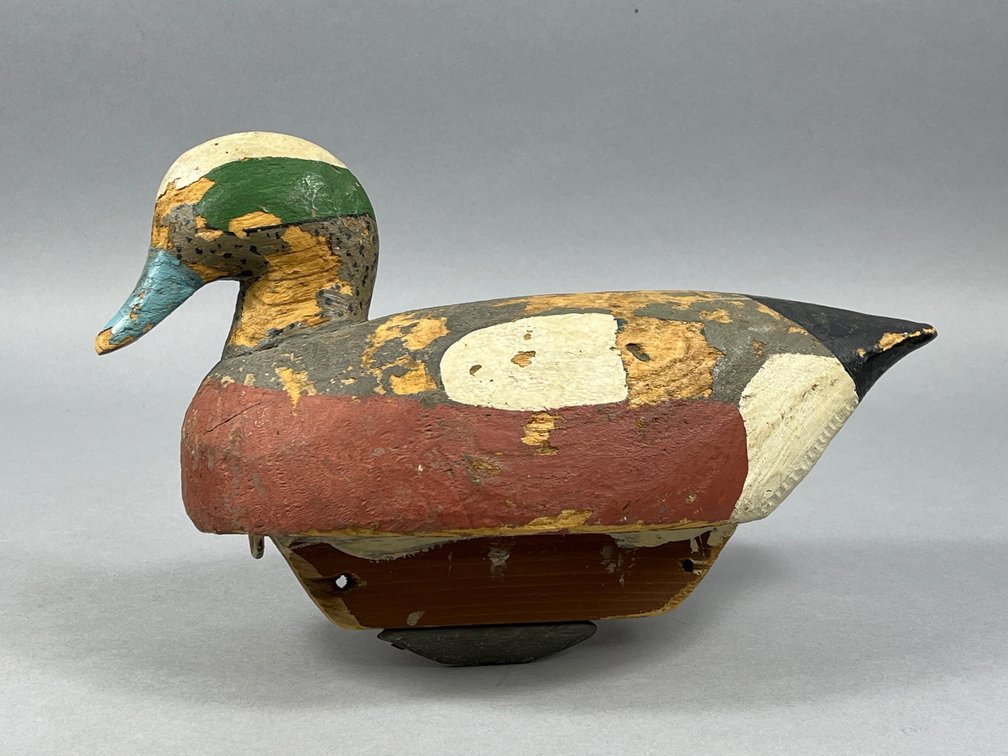 Widgeon by Bob Hurley 