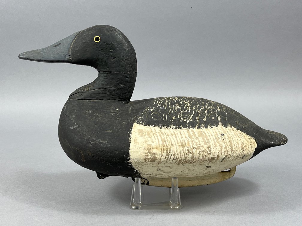 Bluebill from Cecil Co