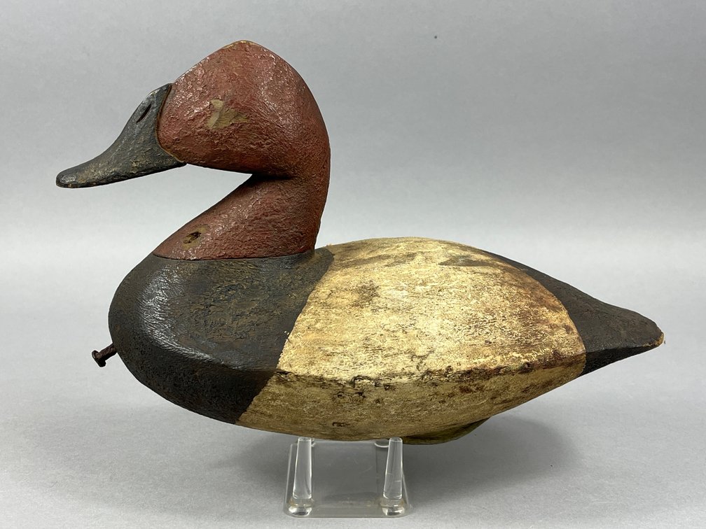 Canvasback by Mark Finisecy 