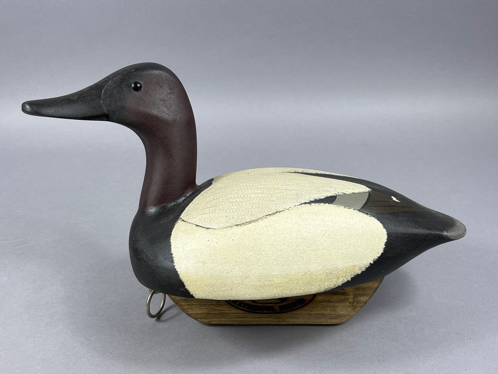 Canvasback by Patrick Gregory