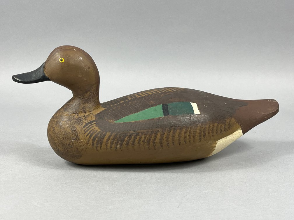 Cinnamon Teal Hen by Paul Gibson 