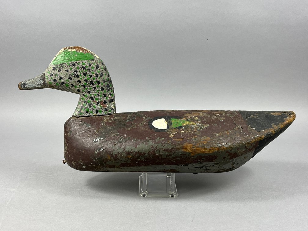 Widgeon from the Back Bay 