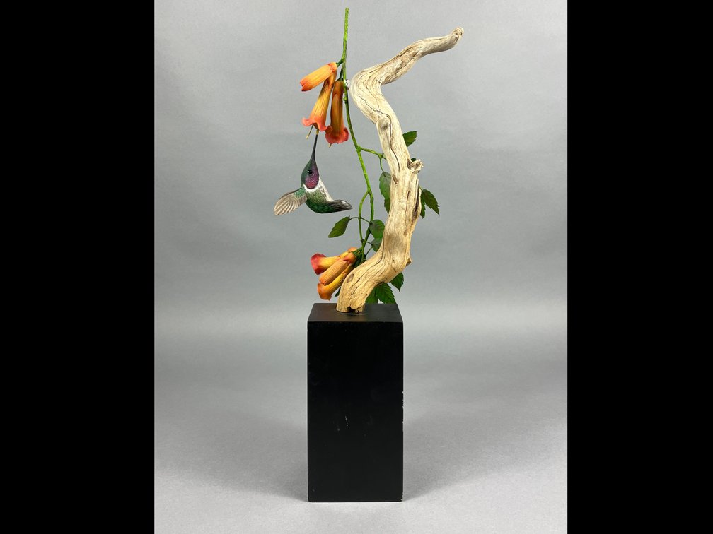 Hummingbird by Dan Williams 