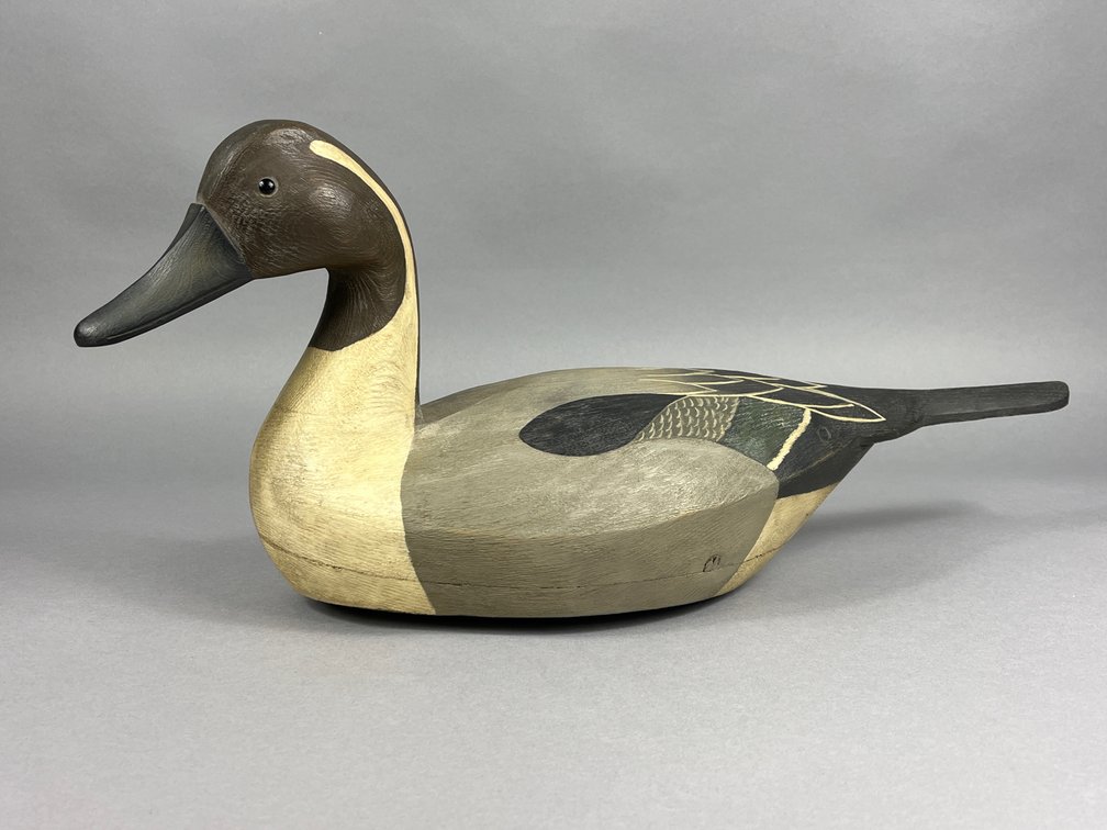 Pintail by Mark Finisecy 