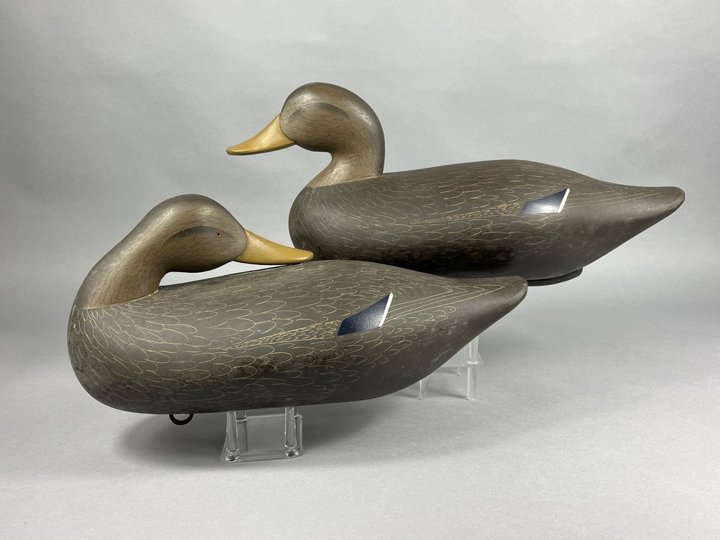 Black Duck pair by Charlie Bryan