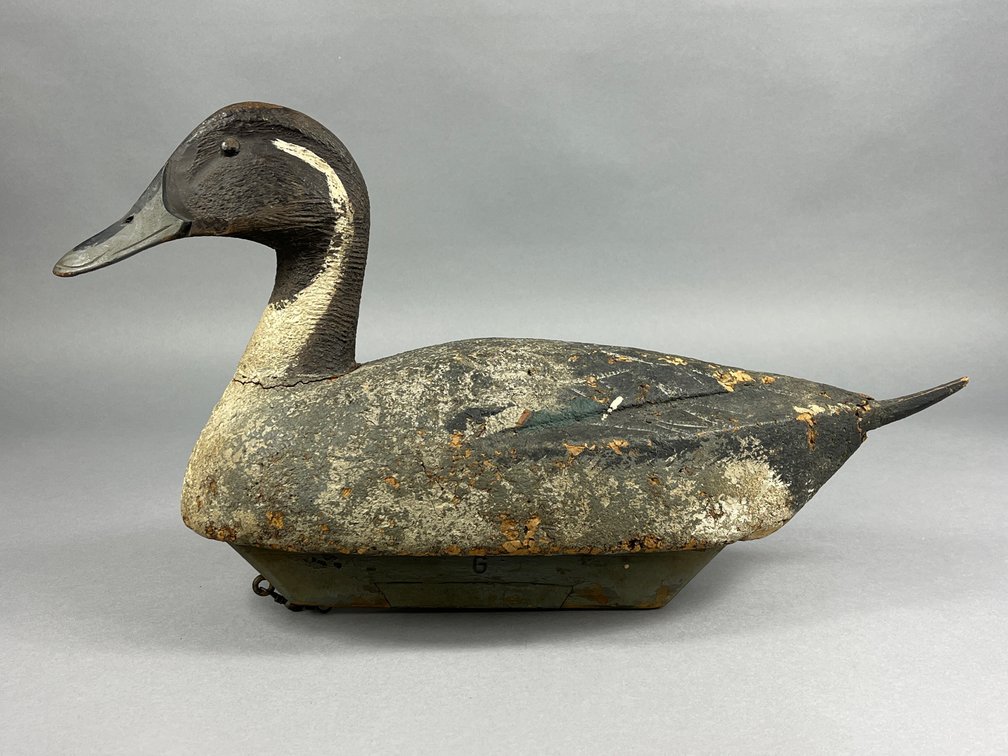 Pintail Attd to William Enright 