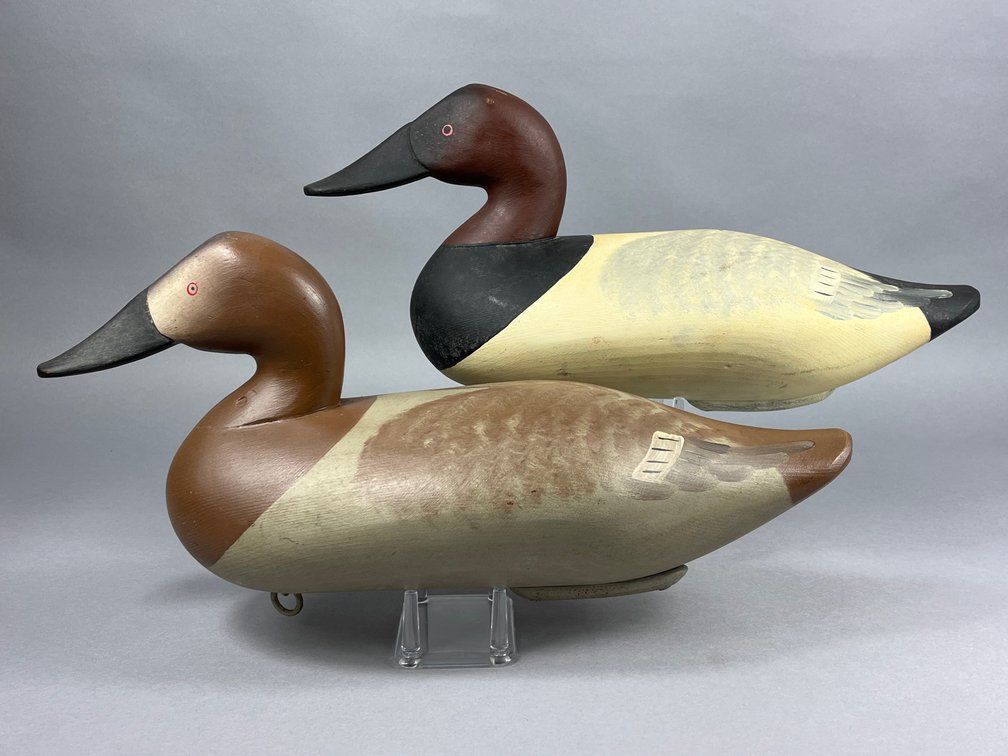 Canvasback Pair by Charles Bryan