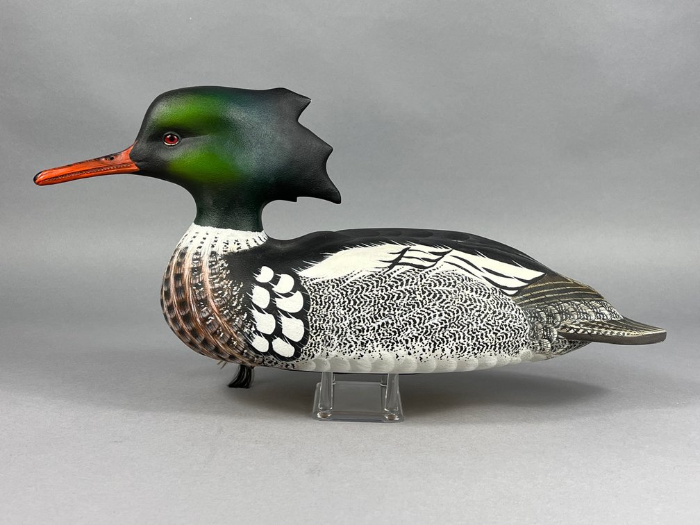 Red Breasted Merganser by Carl Danos 