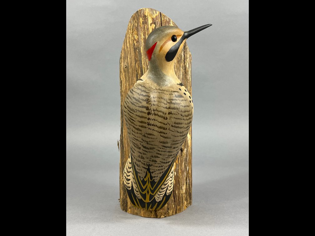 Woodpecker by Jim Britton 
