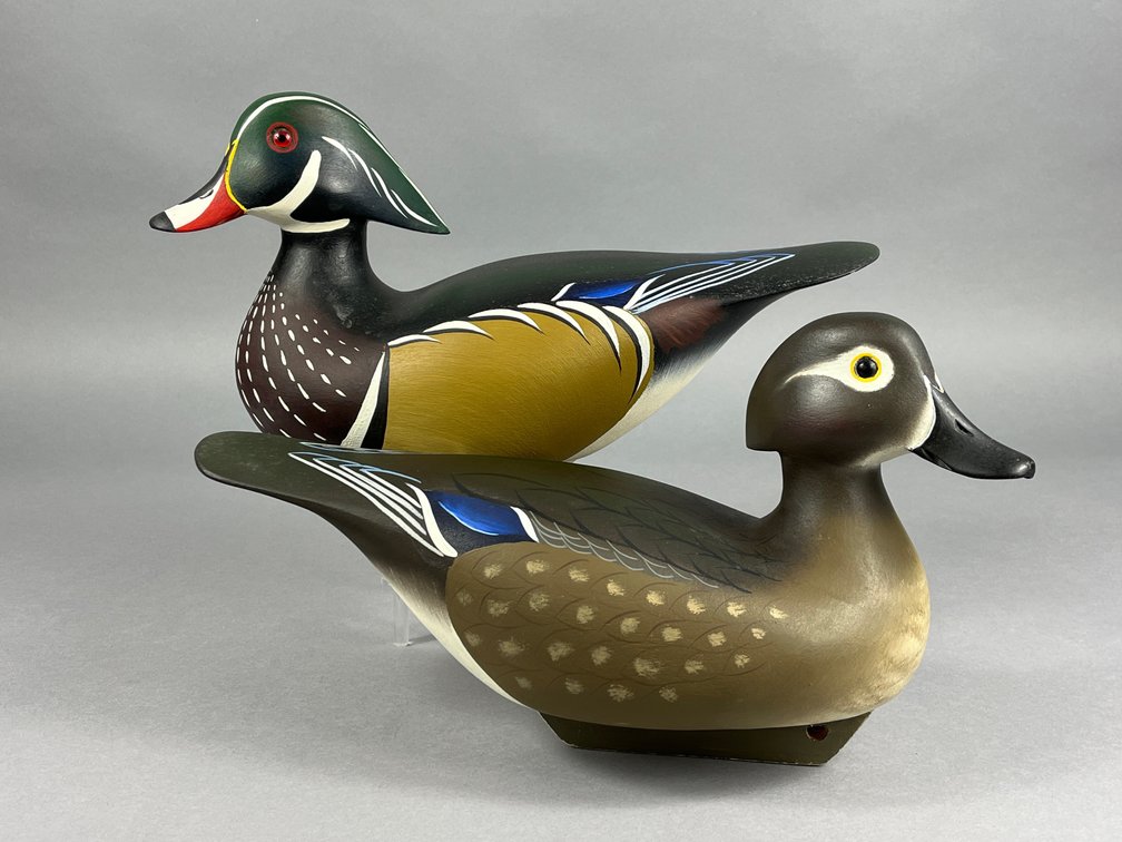 Wood Duck Pair by Bill Schauber