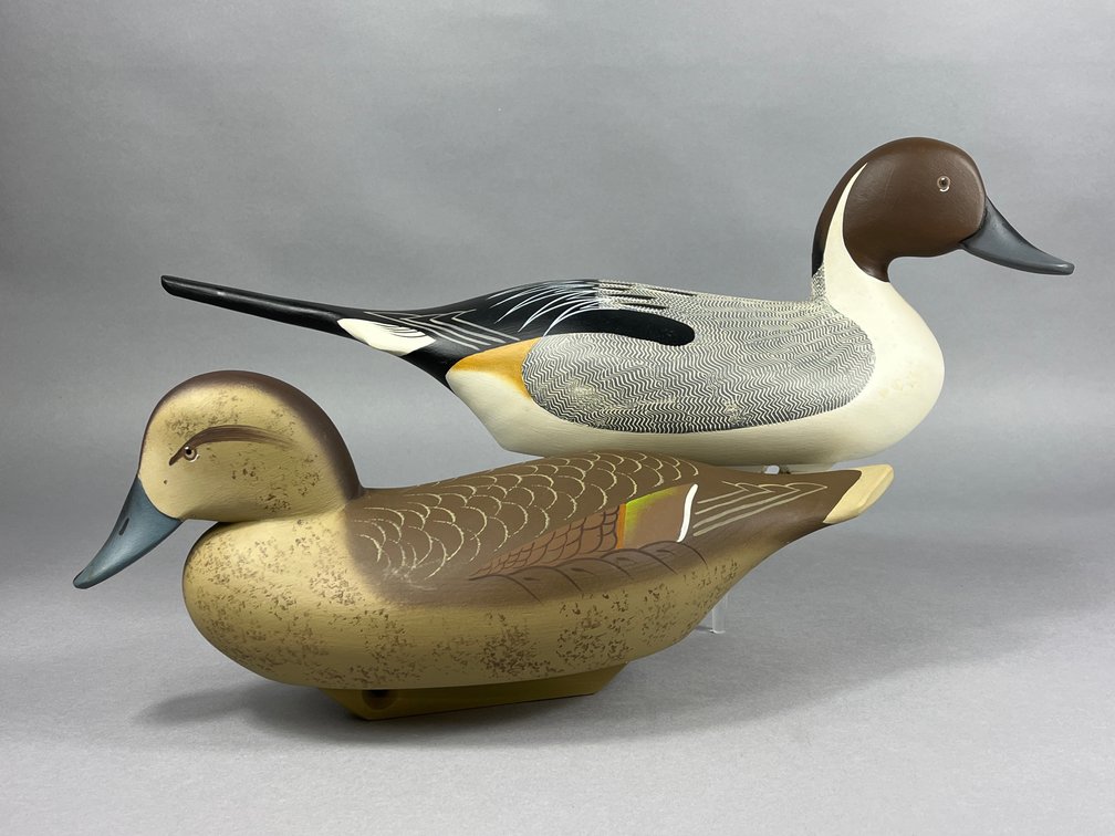 Pintail Pair by Charlie Bryan