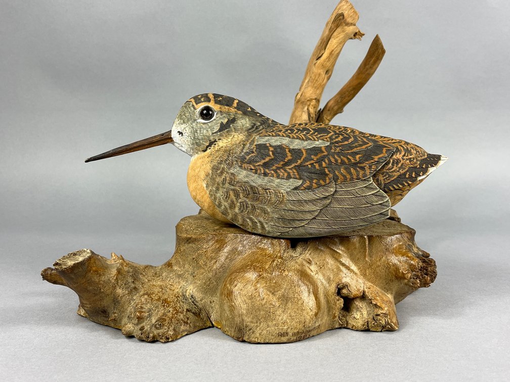 Woodcock by Ron Broadwater