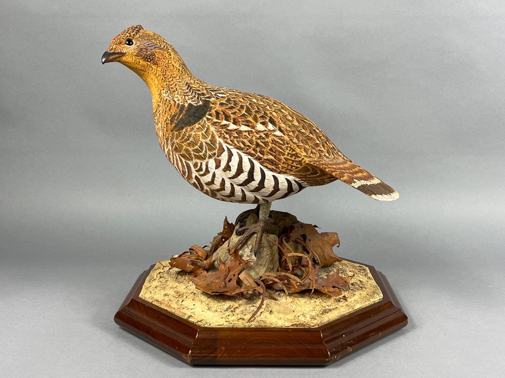 Ruffed Grouse by Ron Broadwater