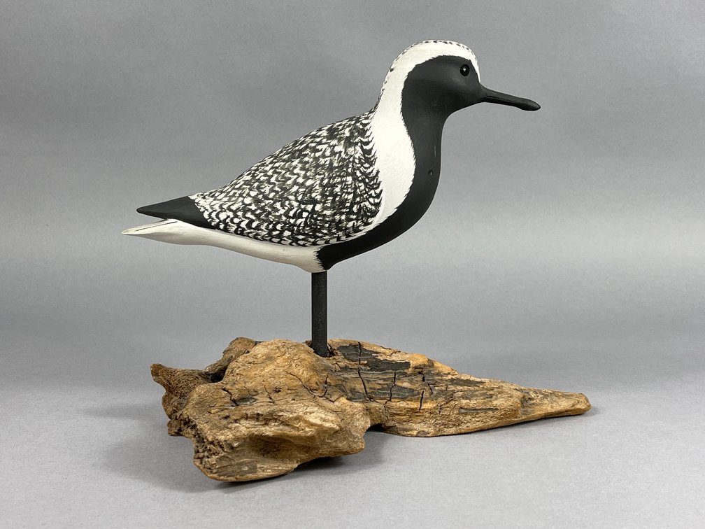 Black Bellied Plover by Russell Fish