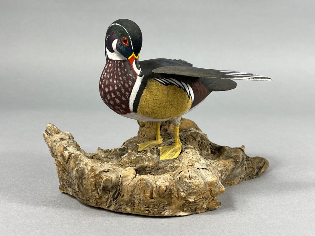 Wood Duck by Skip Bowman