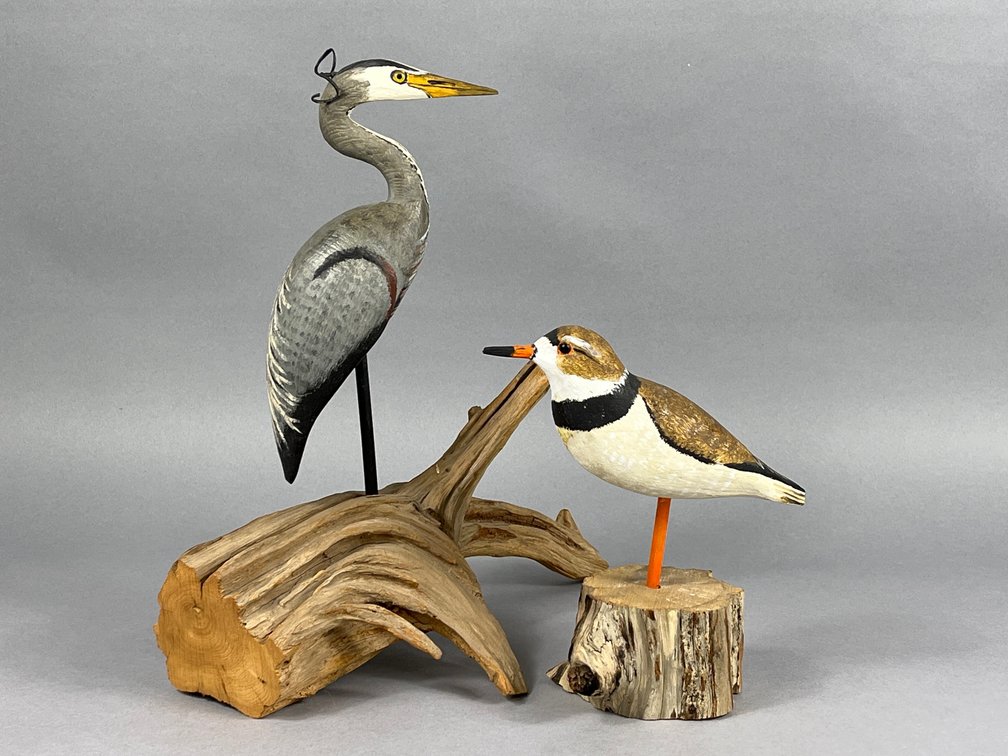 Blue Heron & Piping Plover by Cork McGee