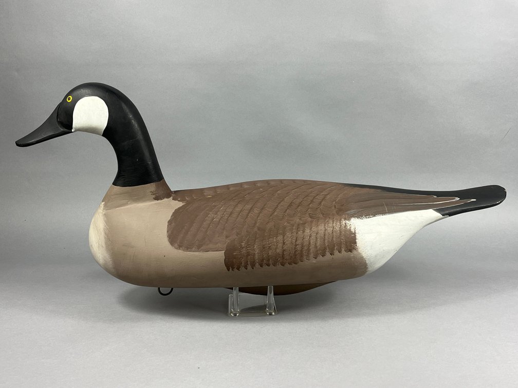 Canada Goose by Patrick Vincenti