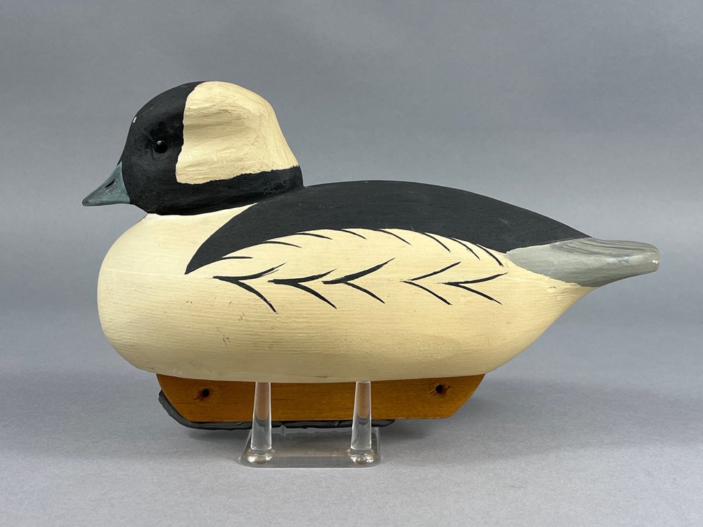 Bufflehead by John M Gavaghan 