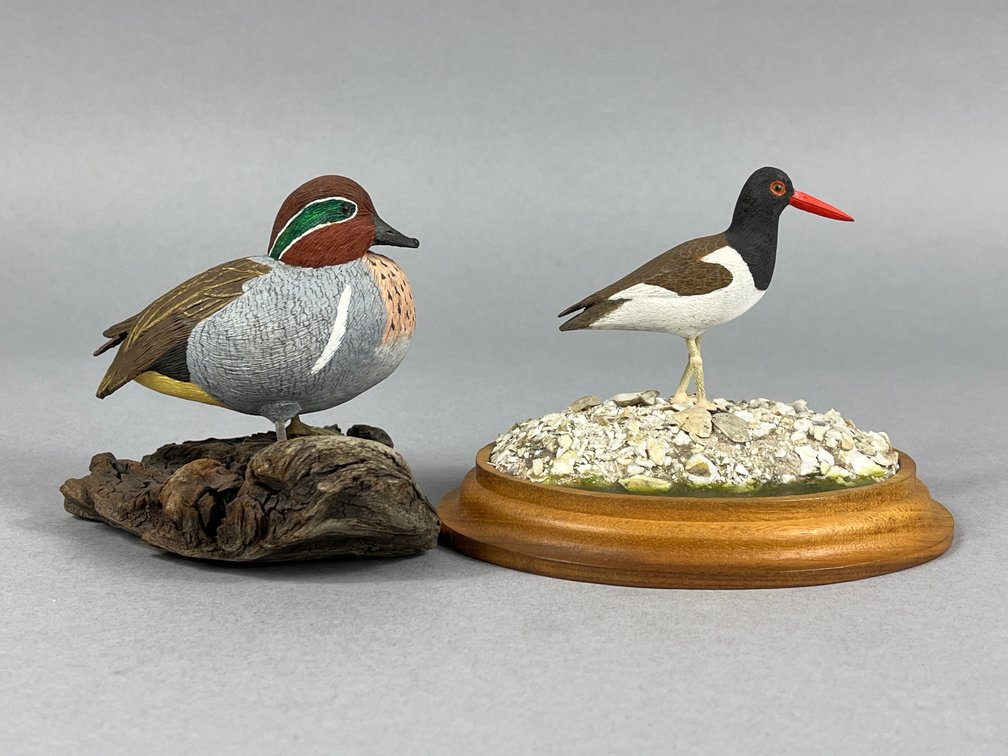 Teal & Oyster Catcher by Skip Bowman