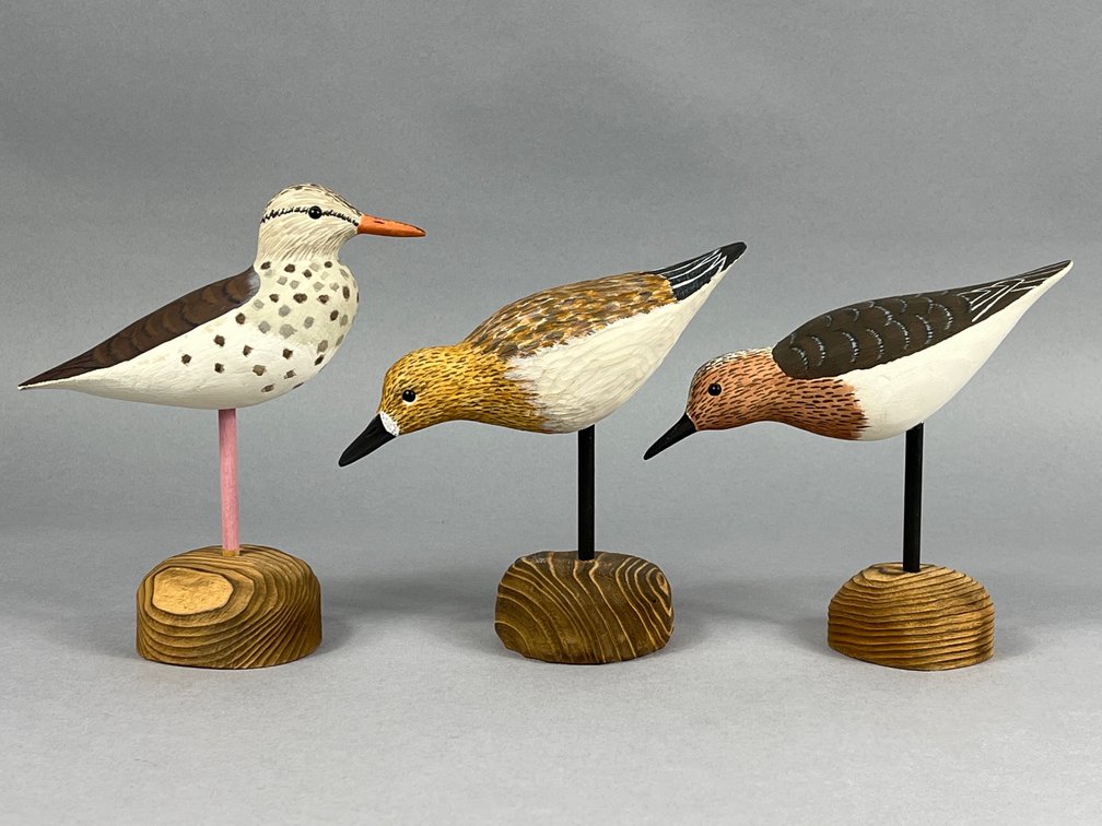 Shorebird Trio by Ronald Justis