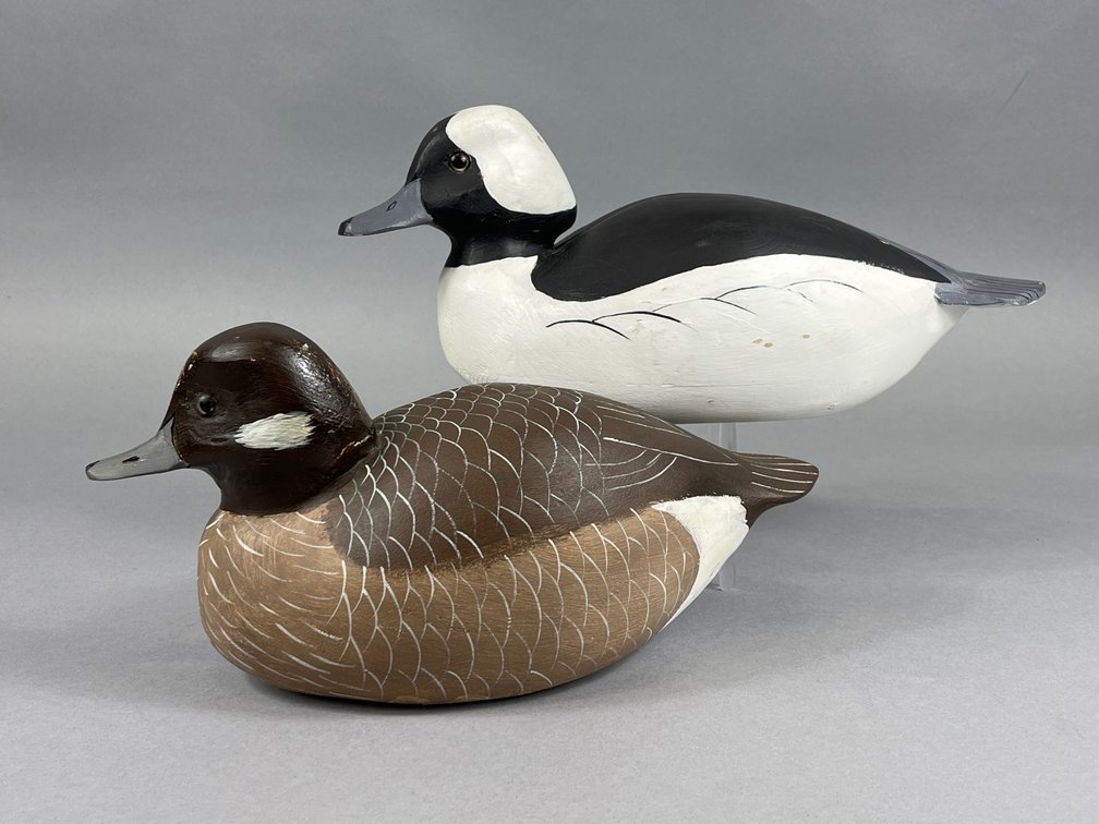 Bufflehead Pair by Delmas Taylor
