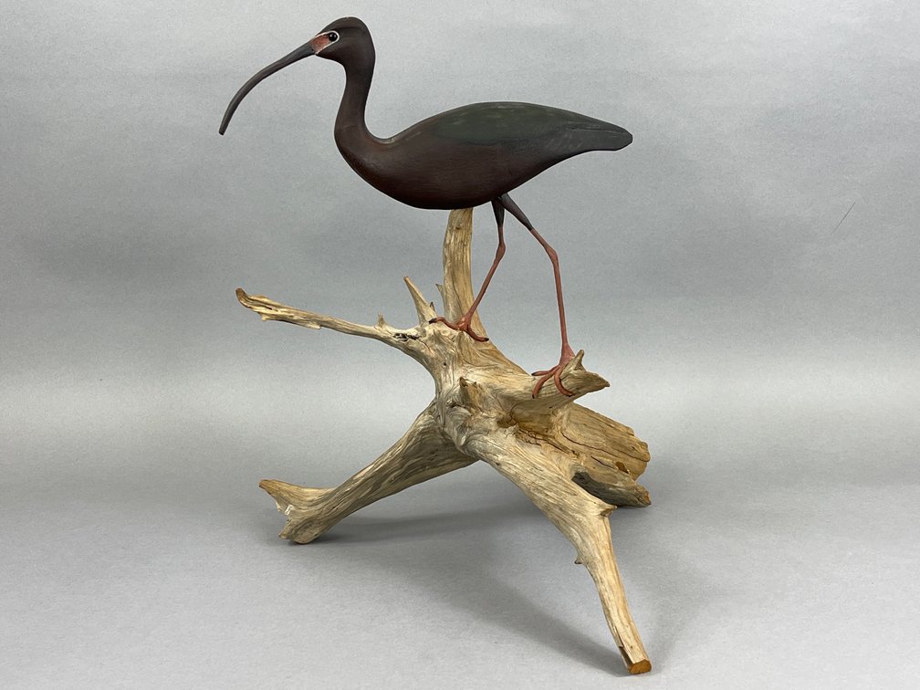 Ibis by Cork McGee