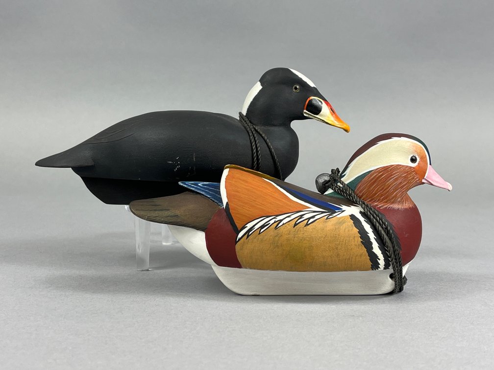 Surf Scoter & Mandarin Duck by Skip Bowman