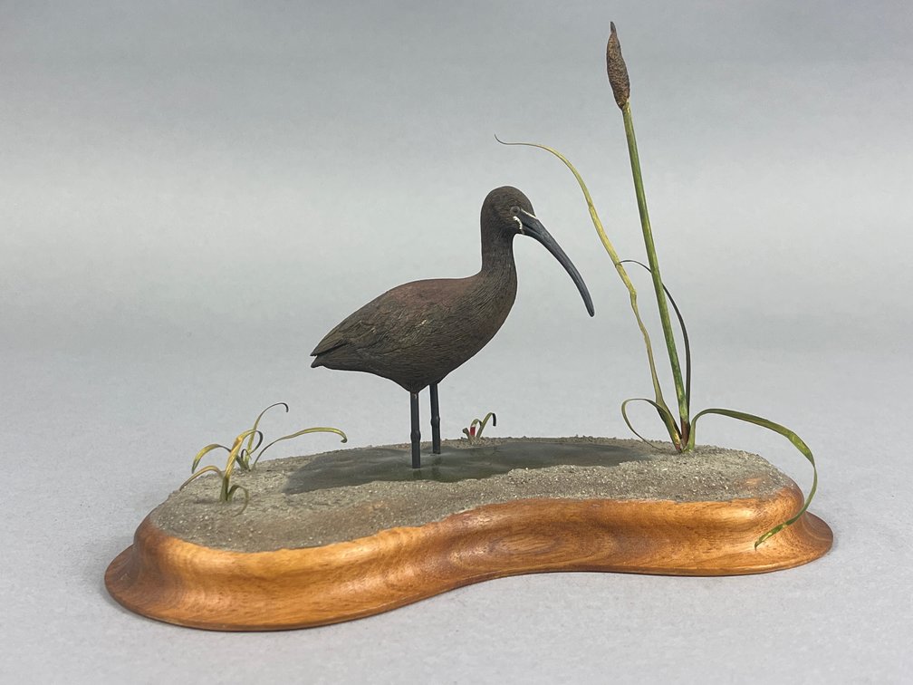 Ibis by Skip Bowman