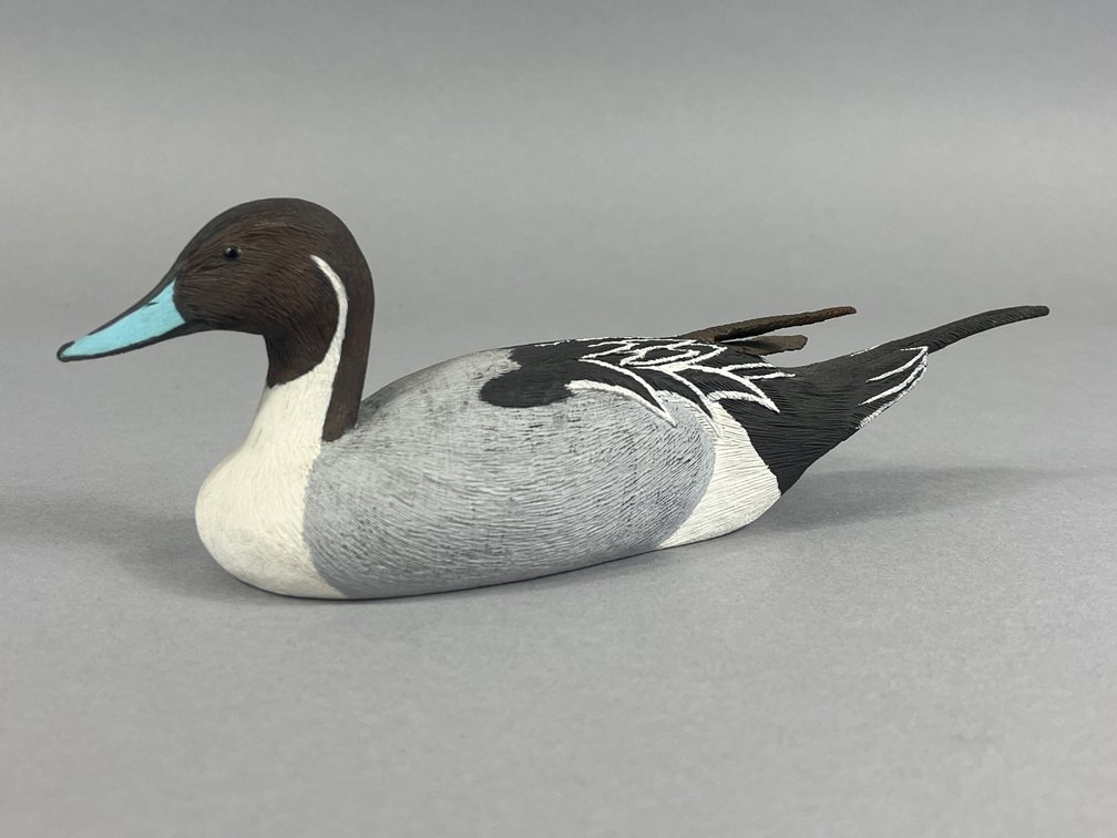 Pintail by Skip Bowman