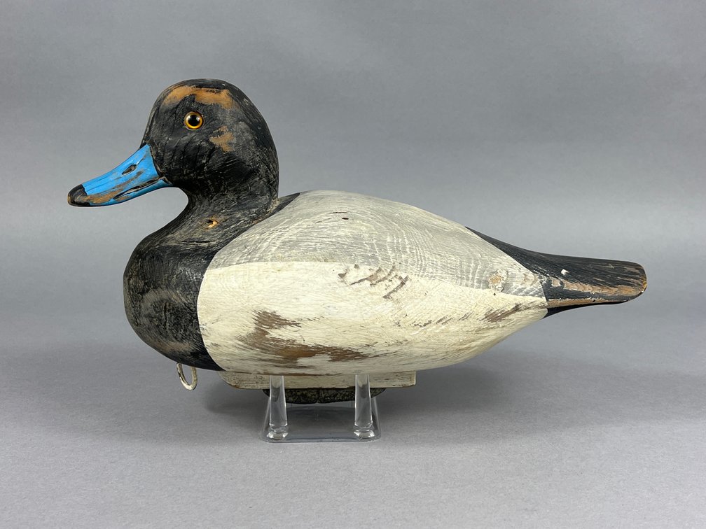 Bluebill by Charles Fish