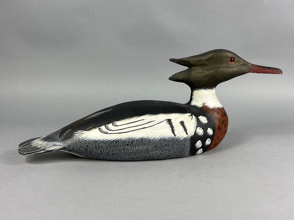 Red Breasted Merganser by Delmas Taylor 