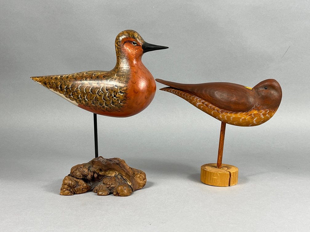 Shorebird Duo