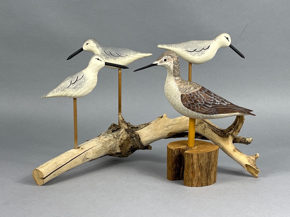 Peeps & Yellowlegs 