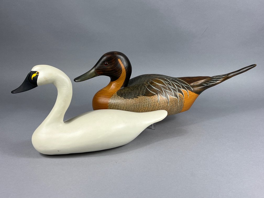Charles Jobes Swan & Big Sky/Orvis Pintail