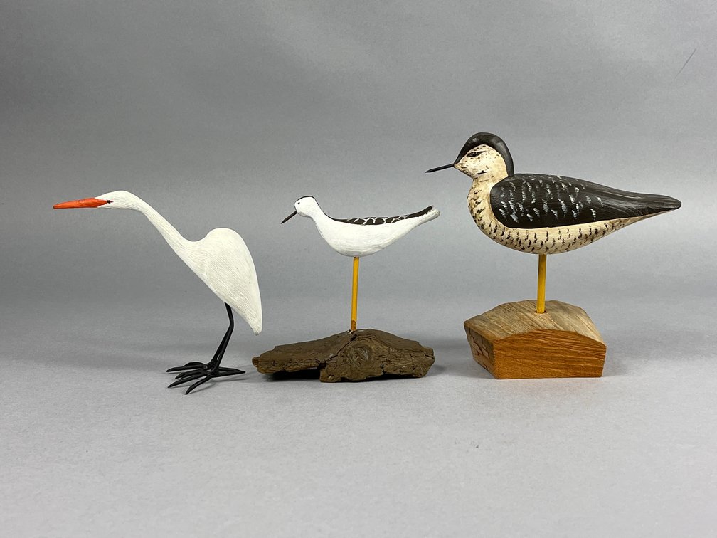 Shorebird Trio