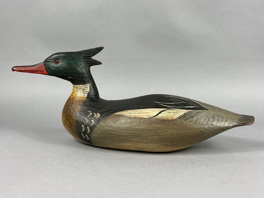 Red Breasted Merganser by Tom Savage