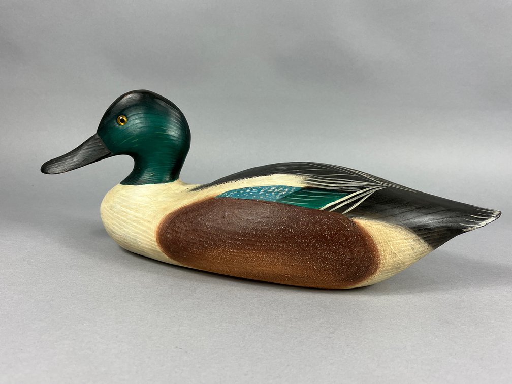 Shoveler by Tom Savage